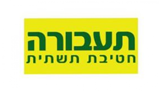 תעבורה חטיבת תשתית